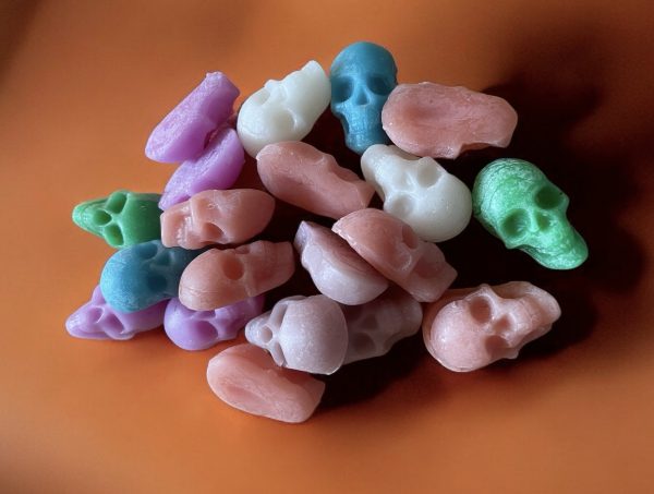 Skull Wax Melts - Image 6