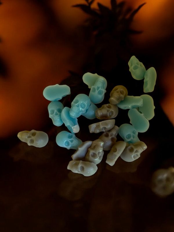 Skull Wax Melts - Image 4