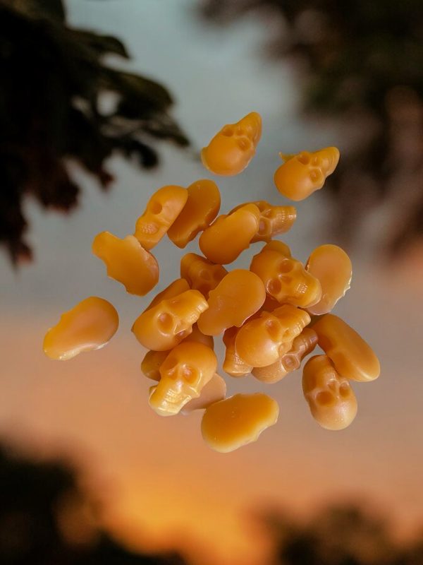 Skull Wax Melts