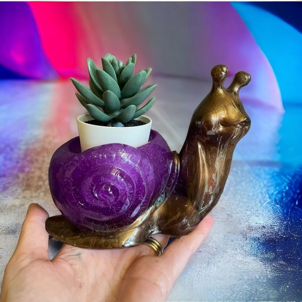 Snail Plant Pot