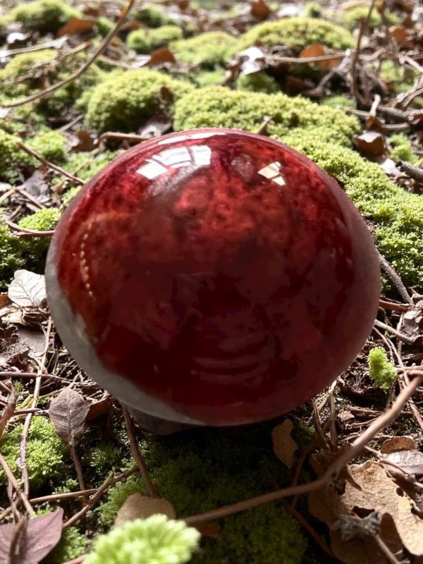 Handmade Resin Mushroom Trio Ornaments - Image 2