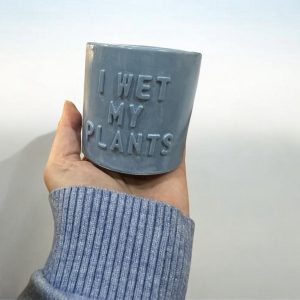 ‘I Wet My Plants’ Plant Pot