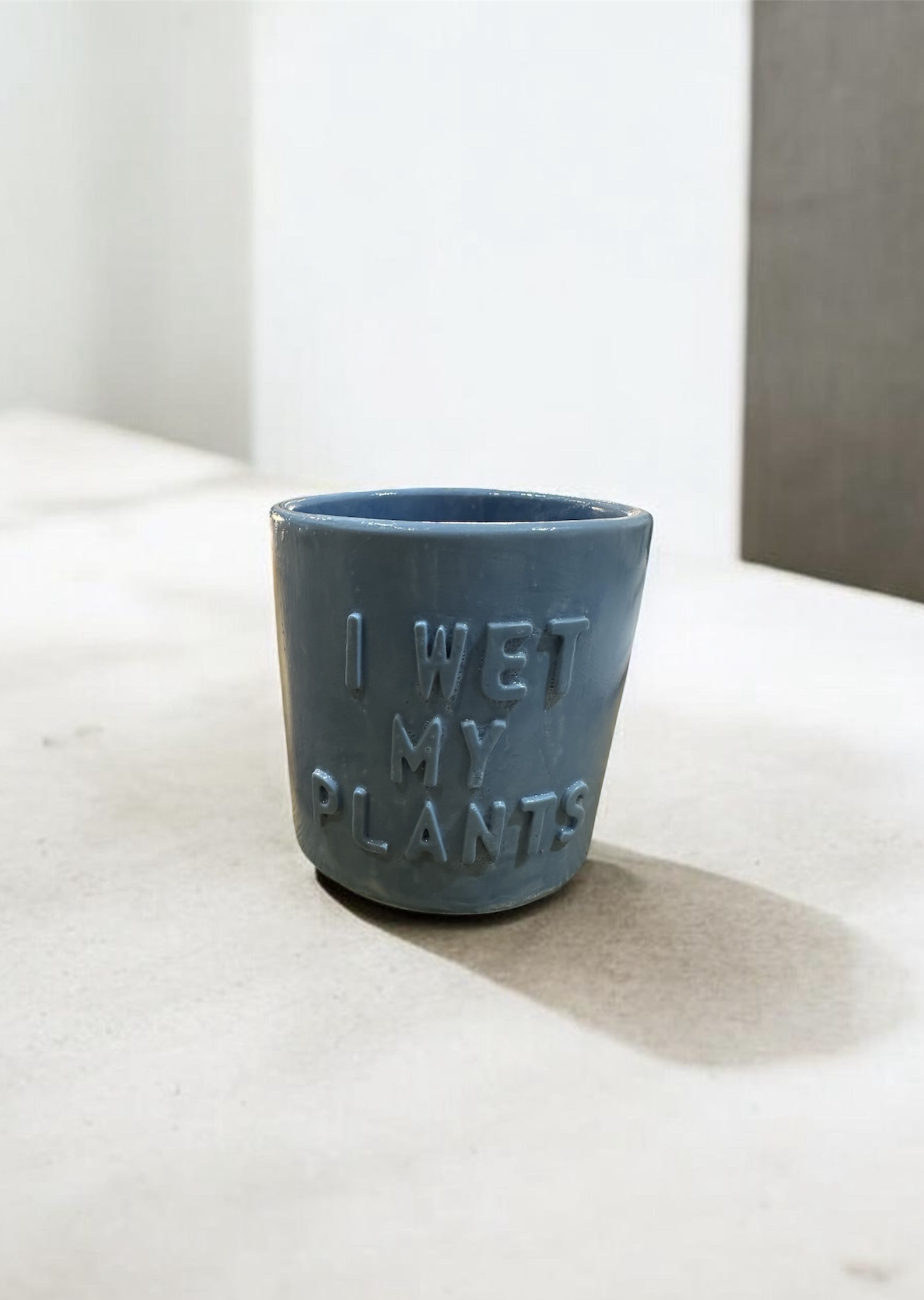 ‘I Wet My Plants’ Plant Pot - Image 4