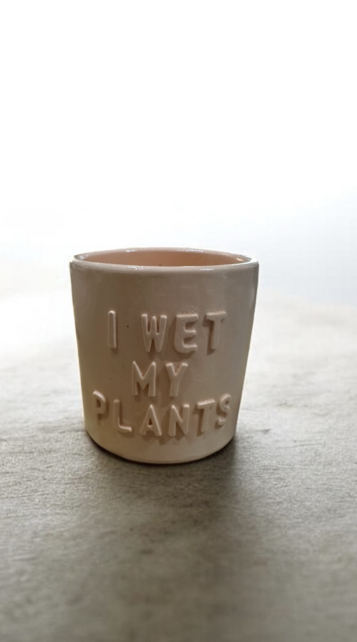 ‘I Wet My Plants’ Plant Pot - Image 5